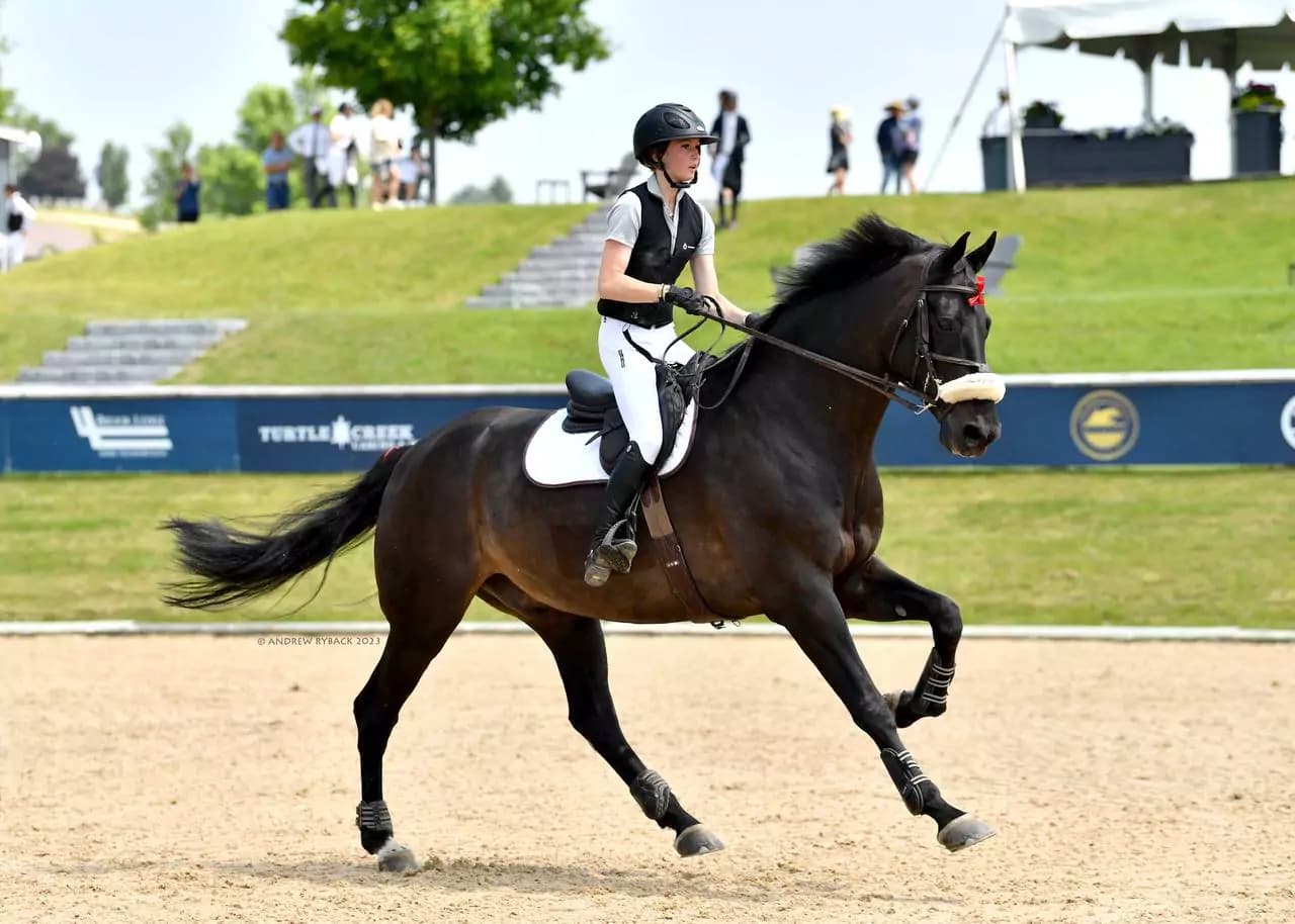 Equestrian riding